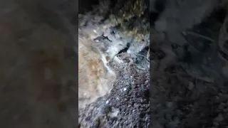 Cueva de Aragonito
