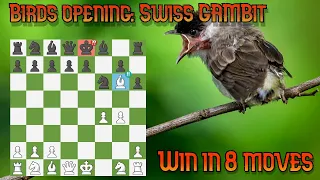 Birds opening: Swiss Gambit | Complete masterclass | #chess #chesscom #chessopening