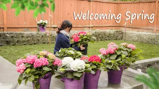 Welcoming spring |Spring Gardening, Build Raised Garden Bed, Laying sod