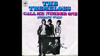 The Tremeloes - (Call Me) Number One - 1969