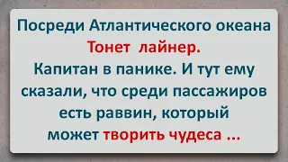 ✡️ Раввин Всемогущий! Еврейские Анекдоты! Анекдоты про Евреев! Выпуск #42