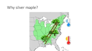 iCons: Assisted Migration of Silver Maple (Acer saccharinum) Communities