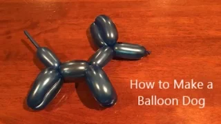 How to Make a Balloon Dog