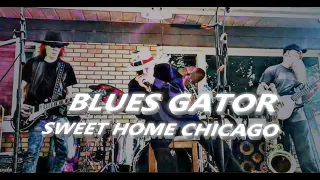 BLUES GATOR ~ SWEET HOME CHICAGO (R.Johnson)