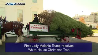 VIDEO NOW: First Lady receives White House Christmas Tree