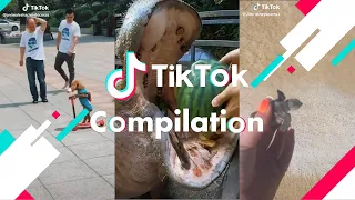 ASMR HIPO EATING WATERMELON 😱😍 - Tik-Tok Cute and Funny Animals Compilation September 2020 - #7