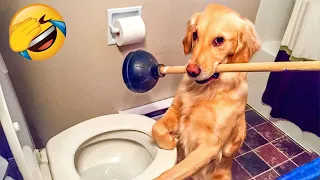 Funniest Animals 2024 🤣😅 New Funny Cats and Dogs Videos 😸🐶 Part 7