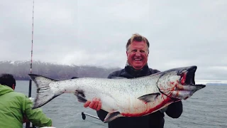 King salmon and Halibut limits Old Harbor on Kodiak Island in Alaska