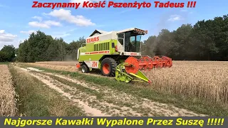 #189 Żniwa 2023 || Pszenżyto Tadeus Na Najgorszych Kawałkach Oraz Łubin....