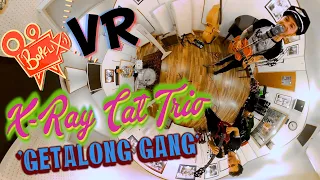 'Getalong Gang' X-RAY CAT TRIO (Sugar Ray's Vintage Studio, 360° VR) BOPFLIX sessions