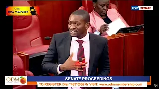 "You don't know how to debate, raise your own motions!" Sifuna CLAPS BACK at Gloria Orwoba in Senate