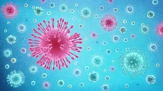 Combatting Coronavirus Misinformation - BBC Click