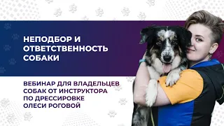 “НЕПОДБОР И ОТВЕТСТВЕННОСТЬ СОБАКИ”. Вебинар №5 из серии эфиров.