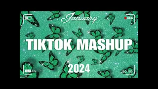 TikTok happy New Year’s