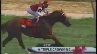 Wando - 2003 Breeders' Stakes