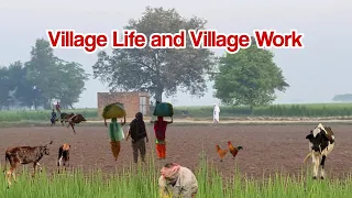 Village Life #Vlog9