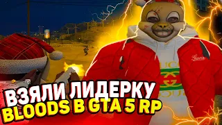 ВЗЯЛИ ЛИДЕРКУ BLOODS НА СЕРВЕРЕ GTA5 RP ALTA? | GTA 5 RP ALTA