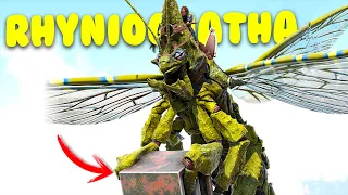HOW TO TAME A RHYNIOGNATHA AND ALL ITS ABILITIES - ARK