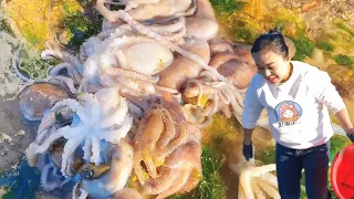 [ENG SUB] Xiao Zhang & nephew find octopus & big fish at sea!