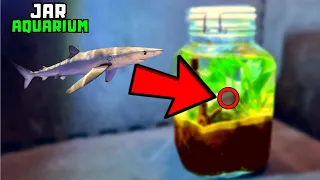 I turned a jar into an aquarium, THIS Happened
