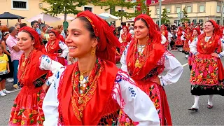 Biggest Parade of 'Mordomia' in History | Romaria de Nossa Sra D`Agonia 2023 | Viana do Castelo