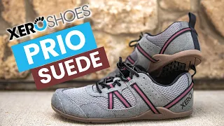 NEW Xero Shoes Prio in Suede! How Do They Compare to the Original?