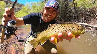 MAKING BROWN TROUT TACOS!!🌮