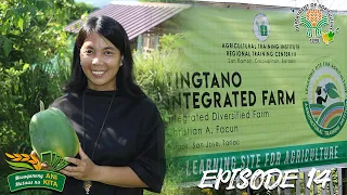 Ani at Kita sa Agrikultura: Integrated Diversified Farming from San Jose, Tarlac | Episode 14