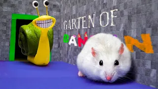 All New Monster Challenges - Hamster Adventure In Garten Of Banban, Rainbow Friends