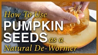 Pumpkin Season - Using The Seeds As A Dewormer