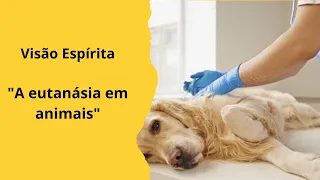 "A eutanásia em animais" - Visão Espírita