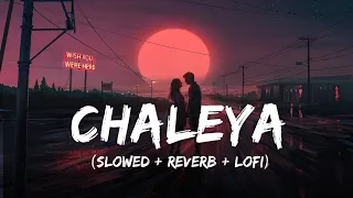 Chaleya - Lofi Mix | Slowed + Reverb | Arijit Singh, Shilpa Rao | Jawan | SRK | SSR Lofi