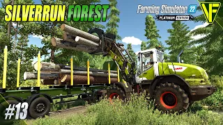 Producing Some Extra Income | Silverrun Forest | Farming Simulator 22 Platinum Edition