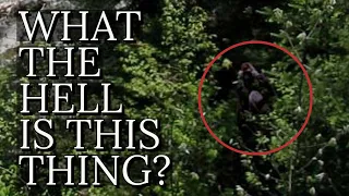 The Most Disturbing Image of Bigfoot | The Beast of Seven Chutes | MBM 191