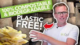 ZERO Plastic Mushroom Bags! | Mushroom Growing | GroCycle