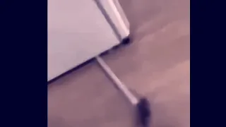 Rat comes from under the fridge//meme