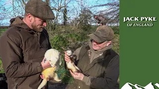 Cattyshack Wayne's giant ferrets bolt rabbits