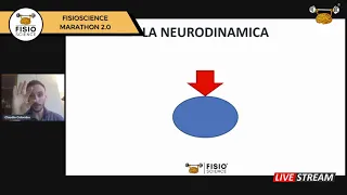 Neurodinamica Clinica: la teoria dietro la pratica