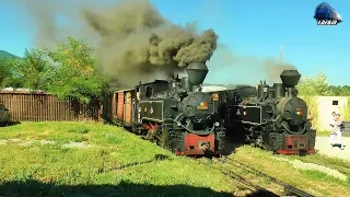 Mocanite & Trenuri CFF Steam/Dampfloks & Trains pe/on Valea Vaserului Valley - August 2017