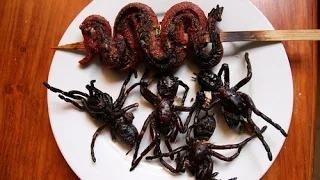 Top 10 Bizarre Foods We Dare you to TRY | Most Weird Foods