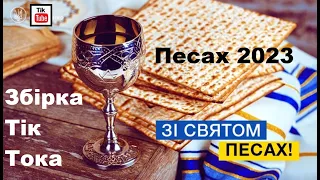 Песах 2023. Збірка Тік Тока.