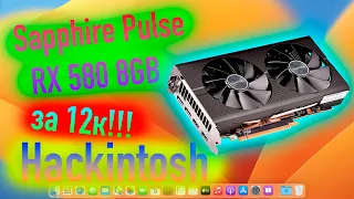 SAPPHIRE PULSE RX 580 8GB УЖЕ МОЖНО КУПИТЬ ЗА 12 ТЫСЯЧ!!! HACKINTOSH