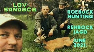 Roe buck hunting - Rehbock jagd - Lov na srndaća - Bosanski Petrovac (BiH) - 06.06.2021.