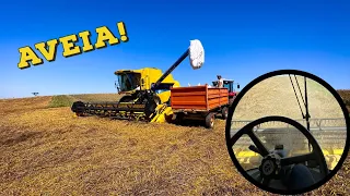 COLHENDO AVEIA COM A COLHEITADEIRA NEW HOLLAND CS660!