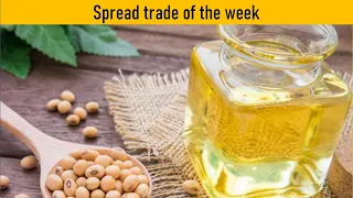 Soybean Oil Butterfly Spread May 3 2024