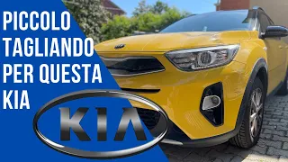 Kia Stonic sostituzione olio, filtro olio e filtro clima