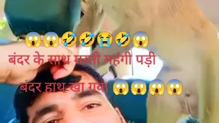 😱😱बंदर के साथ मस्ती करनी पड़ी महंगी देखो 😱😱😭🙊😭🙊😭🙊🙊🙊🙊🙊😭😱😱😱😱😱😱😱😱😱😱🤣🤣🤣🤣🤣😱😱😱🤣🤣🤣🤣🤣🤣😱😱😱😱😱#monkey #money