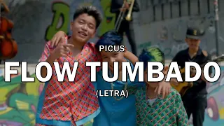 Picus - Flow Tumbado (Letra/Lyrics) (Letra Oficial)