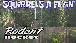 Rodent Rocket squirrel catapult launcher. 2