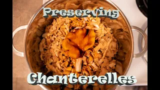 How I Preserve Chanterelle Mushrooms (Freezing Method)